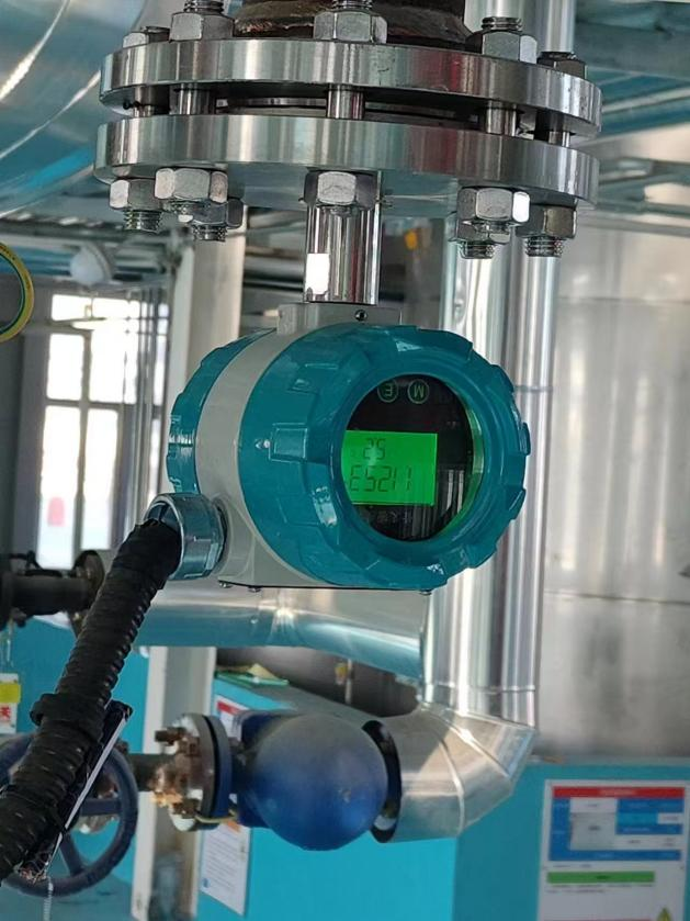 音叉密度計(jì)在食品行業(yè)的應(yīng)用